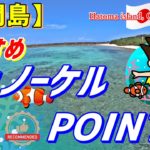 【鳩間島】 おすすめシュノーケルPOINT!!