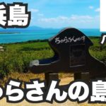 小浜島31歳ひとり旅。NHK朝ドラ「ちゅらさん」の舞台【八重山諸島#4】