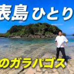 日本最後の秘境、西表島の大自然が凄すぎる！石垣島から日帰りでも楽しめる♪【八重山諸島を巡る旅】