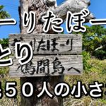 【沖縄たびVlog】鳩間ブルーの海は癒される　＃鳩間島