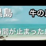 【八重山諸島黒島おじさんひとり旅５３歳】まるで時間が止まってる黒島！