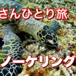 【おじさんひとり旅】西表島と鳩間島の間にあるバラス島でシュノーケリング