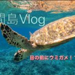 ［絶景］鳩間島Vlog #ishigaki #okinawa