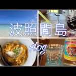 波照間島３泊4日旅vlog／2日目　海亀に会えるニシ浜