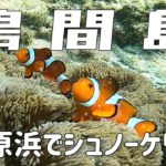 【鳩間島】立原浜でシュノーケリング！透明度バツグン！ニモにも会えました♪