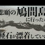 悲願の鳩間島に行ったら軽石が漂着していた#八重山諸島＃離島