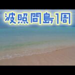 【石垣島・波照間島】波照間島1周＊安栄観光ツアー［日本最南端の碑］［ニシ浜］［コート盛］［泡波］［波照間空港］［ハテルマブルー］