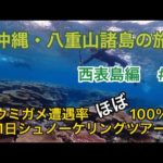 【島旅】八重山諸島の旅　西表島にて、鳩間島とバラス島1日シュノーケルツアー