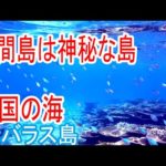 八重山諸島2022鳩間島バラス島周辺シュノーケルツアー