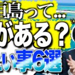 【そもそも何がある？】石垣島旅行で絶対やりたい6つのこと!🌺🏖