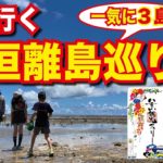 沖縄石垣島 八重山観光フェリー 新造船やいま で行く 石垣島から西表島-由布島-竹富島の三島ツアー すべて1日で巡る！【フェリーで日本一周】【日本一周 船の旅】