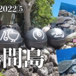 【男ひとり旅日記 | 離島旅2022⑤鳩間島】珊瑚のお花畑や〜！な鳩間島。潜り続けた日々。