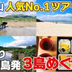 【西表･由布･竹富島/沖縄】石垣島発の大人気ツアーをご紹介｜八重山諸島【観光•旅行ガイド】