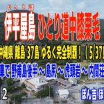 伊平屋島 ひとり道中膝栗毛 その３