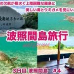 【波照間島旅行】渡航困難な日本最南端島波照間島へ3泊4日で行く旅行3日目AM　#４　波照間島でウミガメを求めてニシ浜へ出かけます。