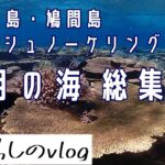 西表島バラス島・鳩間島シュノーケリングツアー/3月総集編/No.218