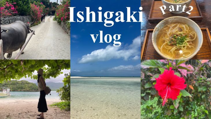 【vlog】沖縄旅行.Part2 | 1泊2日石垣島,竹富島🏝✨ | たくさん自然に触れ合えた日🐚🌊 | 社会人の休日