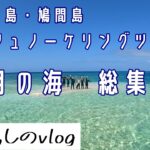 西表島バラス島・鳩間島シュノーケリングツアー/5月総集編/No.225