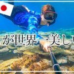 【西表島にある世界一美しい海】鳩間島＆バラス島1日シュノーケリングツアー　断言！これ以上の海は他にない！