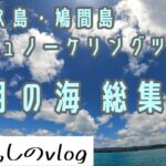 西表島バラス島・鳩間島シュノーケリングツアー/7月総集編/No.233