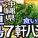 石垣島ゆる旅３日目（後編）石垣島で７軒ハシゴして食い歩き満喫