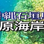 石垣島ゆる旅３日目（中編その２）米原海岸でシュノーケリング満喫