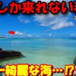 人生で一番きれいな海を見にいきました。【ゆっくりトラベル】石垣島→波照間島