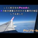 【ピーチのセールで関空-石垣島を片道2500円で購入できたのでシンプルピーチがお得か検証してみました】