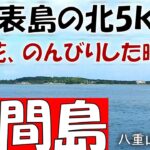 【鳩間島】海と花、ゆるりとした時の島、島カレーを食べる！