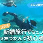 【石垣島】新婚旅行でシュノーケリング！海の不安はプロにお任せ！コツをつかめば初心者卒業！2月13日ツアー動画