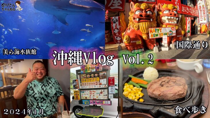 【沖縄Vlog　Vol.2】2024年　1月の沖縄旅行　2泊3日　沖縄のおすすめ観光や食べ歩き動画になります。＃沖縄ワールド　＃国際通り　＃沖縄民謡　＃ビオスの丘　＃美ら海水族館　＃アメリカンビレッジ