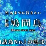 【本当は教えたくない】人口50人。沖縄・鳩間島ひとり旅 瑠璃色の鳩間ブルーが人生最高すぎた！おすすめ絶景スポット【八重山諸島・絶景・秘境・離島・旅行・観光】Hatoma Island, Japan