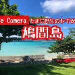 【LIVE】沖縄鳩間島ライブカメラHatoma Island Okinawa Japan Livecamera