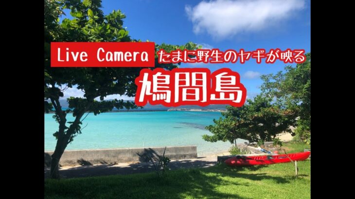 【LIVE】沖縄鳩間島ライブカメラHatoma Island Okinawa Japan Livecamera