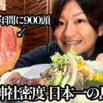 【離島編#第19話】長崎島/壱岐島 「”年間に900頭”壱岐牛を食べて、麦焼酎を飲みまくる」【2024年2月2日~2月4日】