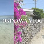 【沖縄旅行vlog DAY3】家族3人 石垣島4泊5日| 竹富島でサイクリング| カイジ浜| コンドイビーチ | 西桟橋 |竹富島ランチ| 焼肉やまもとでディナーetc …(2024.3)