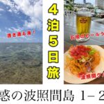 【石垣島・波照間島　４泊５日旅】1−2day ｜石垣島は⚪︎⚪︎の名産地！｜未知の波照間島｜