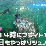 【石垣島】14時のフライトで帰り！の前にシュノーケリング！7月17日ツアー動画