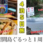 【石垣島・波照間島　４泊５日旅】３day ｜地図あり！波照間島１周ぐるっと｜浜や名所めぐり｜南の島でおでん｜幻の泡盛｜初めての塩豚料理｜