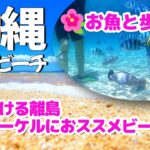 [沖縄旅行]大泊ビーチ✨歩いて海に入ったらお魚がたくさんいてビックリ/浅瀬の美しい海/レンタル品が安い/シュノーケリングが楽しい～😊　#沖縄 #シュノーケル #伊計島 #okinawa