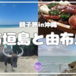 【親子で】沖縄、石垣島と由布島へ行く【旅行】