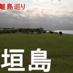 【石垣島】かわいい猫に会える猫好き必見の公園★日本最南端のお寺桃林寺|八重山諸島|Okinawa|4Ｋ