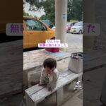 石垣島5波照間島へ行ってきました1歳10ヶ月赤ちゃん #女の子baby #1歳女の子 #赤ちゃんのいる生活 #旅行vlog #沖縄#石垣島#波照間島#離島