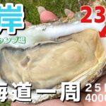 【北海道旅行6】特大サイズの牡蠣が230円！絶景の無料キャンプ場で北海道グルメ🏕️霧多布岬キャンプ場,おすすめ人気｜仙鳳趾｜帯広の豚丼｜野生のラッコ｜車中泊スポット,バイク旅,観光