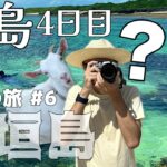 【おとなの石垣島#6】8月の石垣島7泊8日  10年ぶりの黒島｜しゃべるヤギ｜朝の伊古桟橋｜仲本海岸ニモと再会｜アダンとヤシガニ｜夜の海岸の謎 大量ヤドカリvs蟹｜4泊5日のんびりすぎる黒島夫婦旅