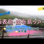 【石垣島・西表島・由布島ツアー】雨の日編　#２