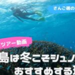 石垣島は冬こそシュノーケリング、おすすめの理由♪11月20日ツアー動画