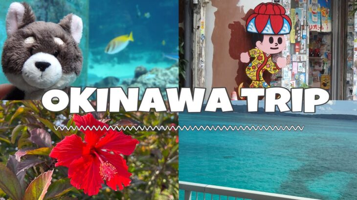 沖縄（Okinawa）｜本島&石垣島を巡るTrip🌺✈️