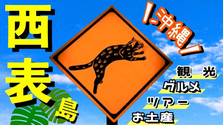 【沖縄離島】西表島の行き方、楽しみ方をご紹介します！