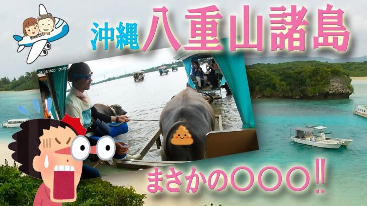 広島から八重山諸島への旅、憧れの水牛車でまさかのハプニングが！！！